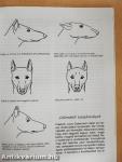 A dobermann