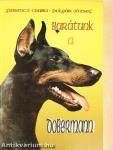 Barátunk a dobermann