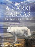 A sarki farkas