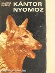 Kántor nyomoz