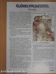 Jó vadászatot! 2008/2.