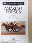 Amazing Horses