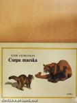 Csupa macska
