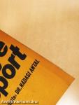 Rallyesport