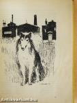 Lassie hazatér