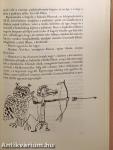 A bőbeszédű teknősbéka