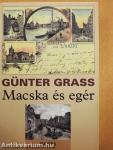 Macska és egér