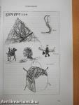 Freinet-évkönyv 1999