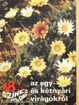 88 színes oldal az egy- és kétnyári virágokról