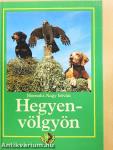 Hegyen-völgyön