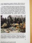 A jeli arborétum