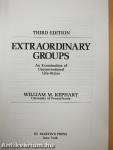 Extraordinary Groups