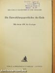 Die Entwicklungsgeschichte der Erde