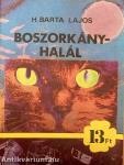 Boszorkányhalál