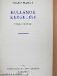 Hullámok kergetése