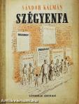 Szégyenfa