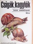 Csigák, kagylók