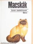 Macskák
