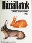 Háziállatok