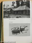 Ahol az ösvény véget ér