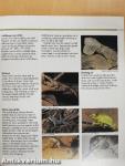 London Zoo Guide