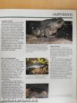 London Zoo Guide
