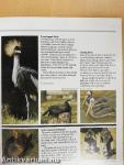 London Zoo Guide