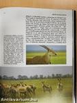 Durrell a Szovjetunióban
