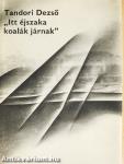 "Itt éjszaka koalák járnak"