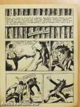 Zagor 309.