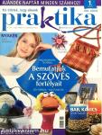 Praktika 2008. január-december