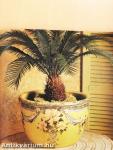 Decoupage