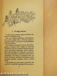 A debreceni lunátikus