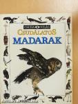 Csudálatos madarak