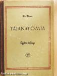 Tájanatómia