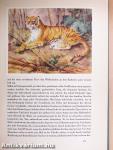 Tiere aus aller Welt I.