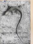 Heimische lurche und kriechtiere