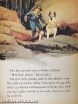 Rin Tin Tin