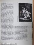 A Szórakoztató Biblia