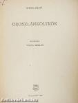 Oroszlánkölykök