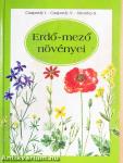 Erdő-mező növényei