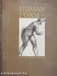 The Human Form in Art