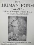 The Human Form in Art