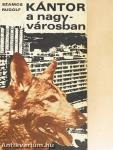 Kántor a nagyvárosban