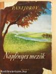 Napfényes mezők