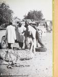 A titokzatos Niger