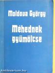 Méhednek gyümölcse