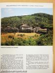 Frascati