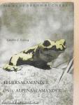 Feuersalamander und Alpensalamander