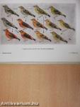 Vogelschutz und Vogelforschung